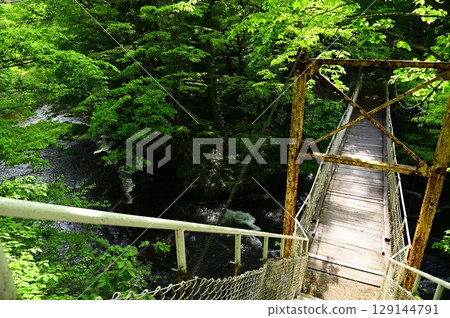 花卷溫泉紅葉橋的新綠 129144791
