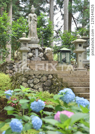 The Mother Kannon Bodhisattva statue and hydrangeas at Yoshimineji Temple 129144826