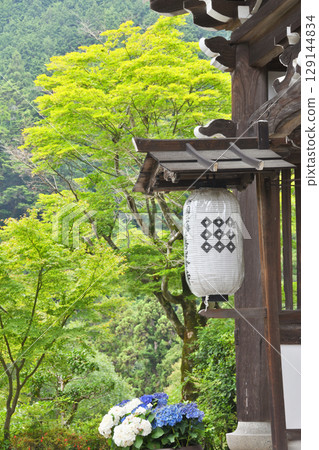 Lanterns at the gate of Yoshimineji Temple Lanterns at the gate of Yoshimineji Temple 129144834
