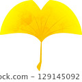 Ginkgo vector illustration with watercolor pattern 129145092