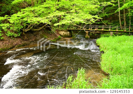 Fresh greenery in Hanamaki Onsen Fresh greenery in Hanamaki Onsen 129145353