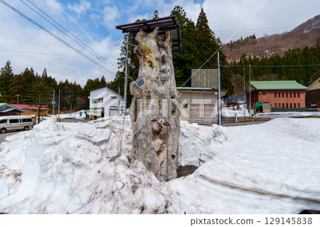 250411 Akiyamago Oakazawa 129145838