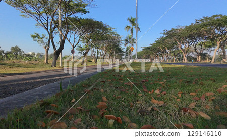 A serene, sunlit street with trees lining both sides and fallen leaves on the grassy verge. A serene, sunlit street with trees lining both sides and fallen leaves on the grassy verge. 129146110