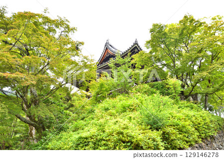 Green leaves at Yoshimineji Temple Green leaves at Yoshimineji Temple 129146278