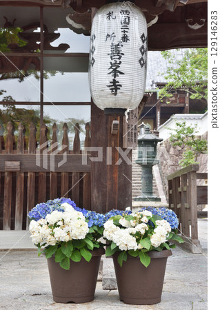 吉峰寺門口的燈籠 129146283
