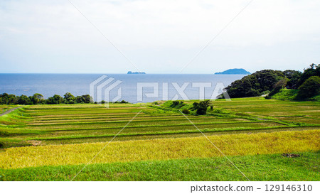 The rice fields of Arai in Kyotango after the rice harvest and the vast expanse of the Sea of Japan The rice fields of Arai in Kyotango after the rice harvest and the vast expanse of the Sea of Japan 129146310