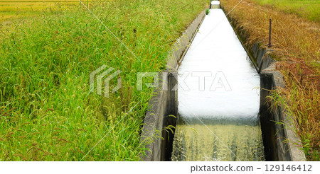 Landscape with irrigation channels 129146412
