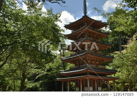 海住寺五重塔的夏天（京都府木津川市） 129147085