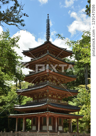 海住寺五重塔的夏天（京都府木津川市） 129147086