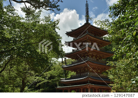 海住寺五重塔的夏天(京都府木津川市) 海住寺五重塔的夏天(京都府木津川市) 129147087