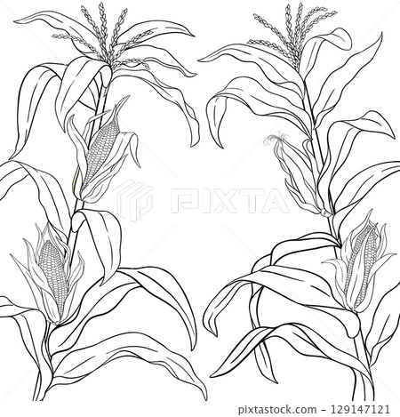 Corn Plant with Cobs Outline Frame 129147121