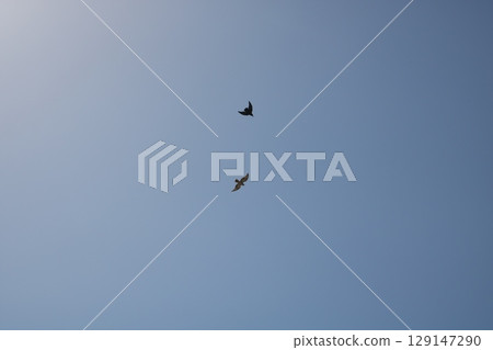 天空影像 天空影像 129147290