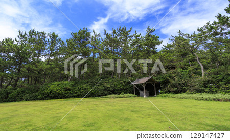 葉山潮騷公園的夏天 129147427