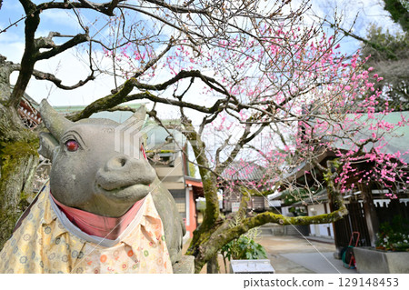 Plum blossoms at Kitano Tenmangu Shrine in March 2024 Plum blossoms at Kitano Tenmangu Shrine in March 2024 129148453