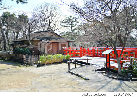 Plum blossoms at Kitano Tenmangu Shrine in March 2024 129148464