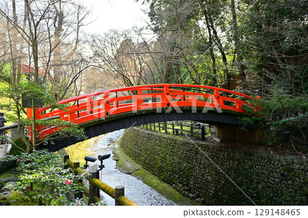 Plum blossoms at Kitano Tenmangu Shrine in March 2024 Plum blossoms at Kitano Tenmangu Shrine in March 2024 129148465