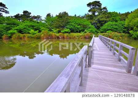 Ida's Myojin Pond, Izu Peninsula, Chubu region, with a well-maintained promenade and a fun-looking bridge. Ida, Numazu City, Shizuoka Prefecture (2) Ida's Myojin Pond, Izu Peninsula, Chubu region, with a well-maintained promenade and a fun-looking bridge. Ida, Numazu City, Shizuoka Prefecture (2) 129148878