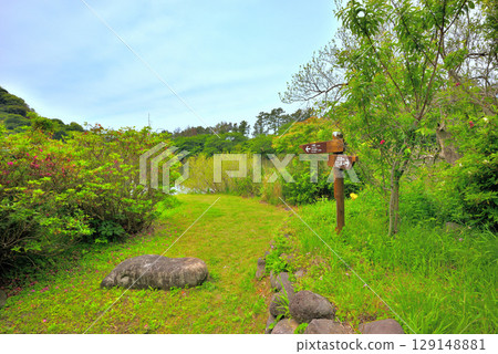 Chubu region, Izu Peninsula, Ida's Myojin Pond, a view of the promenade around the pond, Ida, Numazu City, Shizuoka Prefecture (1) Chubu region, Izu Peninsula, Ida's Myojin Pond, a view of the promenade around the pond, Ida, Numazu City, Shizuoka Prefecture (1) 129148881