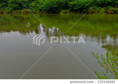 Chubu region, Izu Peninsula, Ida's Myojin Pond, freshwater pond, Ida, Numazu City, Shizuoka Prefecture (1) 129148882