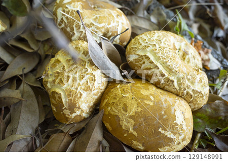 Wild mushrooms Wild mushrooms 129148991