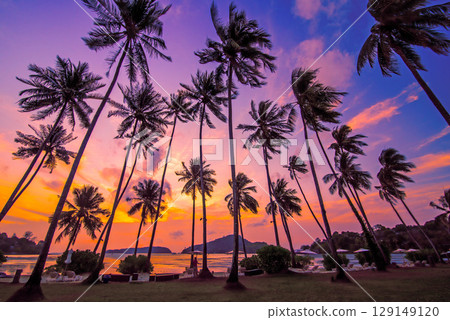 Silhouette coconut palm trees on beach at sunset. Vintage tone. Silhouette coconut palm trees on beach at sunset. Vintage tone. 129149120
