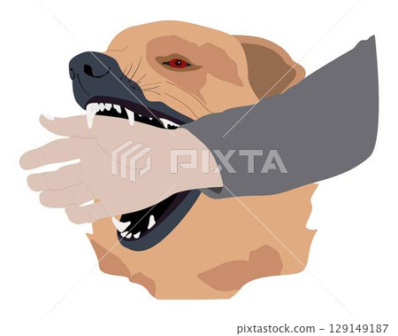illustration of animal and medication, dog bites human hand, The dangers of animal bites to the finger, A bite from an animal with rabies 129149187