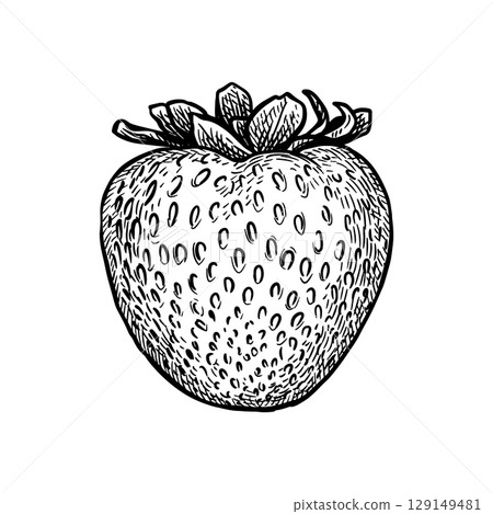 Strawberry ink sketch 129149481