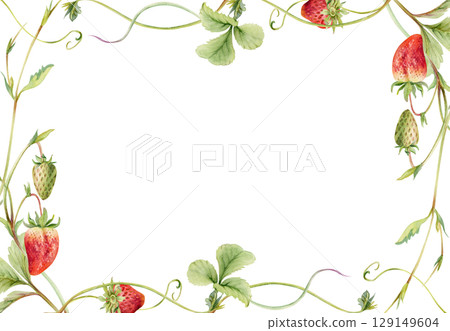Strawberry on stems with vines tendrils, hanging ripe garden berry pineberry strasberry snakeberry hand drawn in watercolor. Isolated border corner frame. Farmers market, eco food gardening calendar Strawberry on stems with vines tendrils, hanging ripe garden berry pineberry strasberry snakeberry hand drawn in watercolor. Isolated border corner frame. Farmers market, eco food gardening calendar 129149604