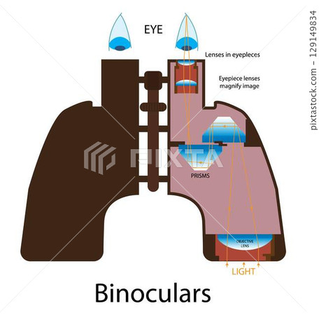 illustration of physics, Binoculars or field glasses are two refracting telescopes mounted side by side and aligned to point in the same direction, anatomy of binoculars 129149834