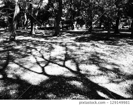 陰涼和夏天的形象 129149981