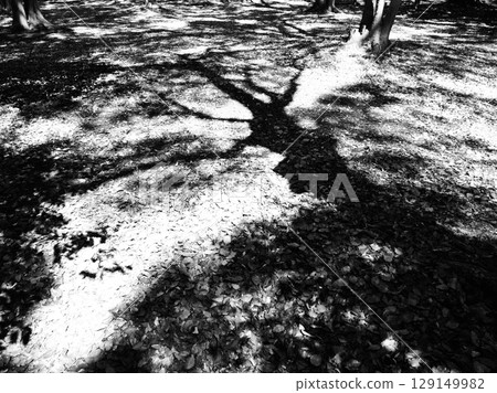 陰涼和夏天的形象 129149982