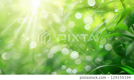 Sparkling summer light and leaves abstract background 129150194