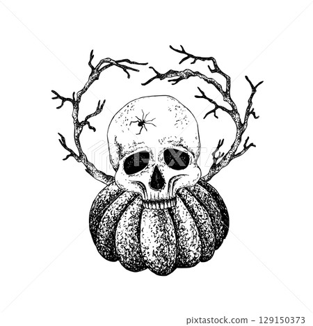 Human skull, spider, branches on pumpkin graphic style. Vector illustration with white background. Hand drawn ink Halloween composition, Day of the Dead postcards, stickers, holiday decoration 129150373