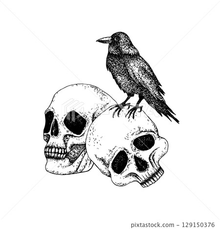 Black crow sit on skulls. Graphics illustration with white background. Hand drawn vector in Gothic style for Halloween, Day of the Dead, Esoteric concept. Raven for packaging, postcard, holiday decor Black crow sit on skulls. Graphics illustration with white background. Hand drawn vector in Gothic style for Halloween, Day of the Dead, Esoteric concept. Raven for packaging, postcard, holiday decor 129150376