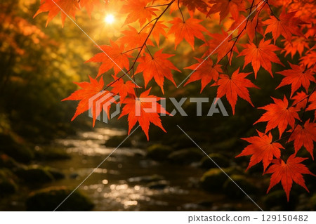 Autumn leaves mountain stream 129150482