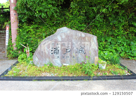 Urado Castle Ruins 129150507