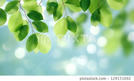 fresh green leaves - Stock Illustration [129151092] - PIXTA