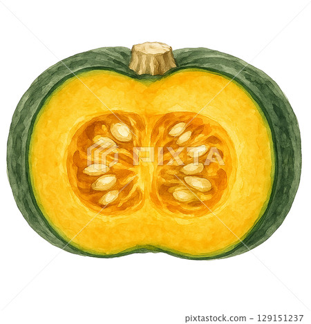 南瓜橫切面的水彩插圖 129151237
