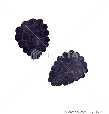 A watercolor illustration of a large, ripe blackberry on a white background. The detailed artwork showcases the deep purple-black color and textured surface of the berry, perfect for food, health, or 129151593