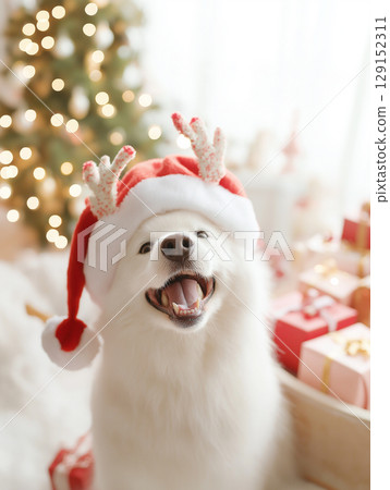 Smiling Samoyed dog wearing Santa hat at Christmas, surrounded by gifts and festive lights Smiling Samoyed dog wearing Santa hat at Christmas, surrounded by gifts and festive lights 129152311