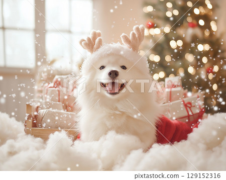 Samoyed dog with festive antlers and gifts in a joyful Christmas celebration, fluffy and cute Samoyed dog with festive antlers and gifts in a joyful Christmas celebration, fluffy and cute 129152316