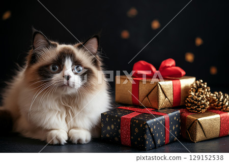 Ragdoll cat with gifts, Christmas feline and festive presents for a joyful holiday scene 129152538