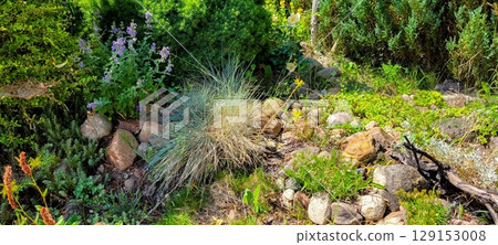 A Vibrant and Lively Garden Scene Featuring Sprinkling Water Alongside Lush Green Foliage A Vibrant and Lively Garden Scene Featuring Sprinkling Water Alongside Lush Green Foliage 129153008