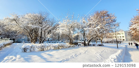 A Beautiful Winter Landscape Featuring Stunningly SnowCovered Trees Beneath a Clear Blue Sky A Beautiful Winter Landscape Featuring Stunningly SnowCovered Trees Beneath a Clear Blue Sky 129153098