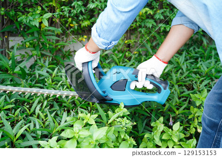Gardener trimming bush by electric hedge clippers in garden. Hobby at home. Gardener trimming bush by electric hedge clippers in garden. Hobby at home. 129153153