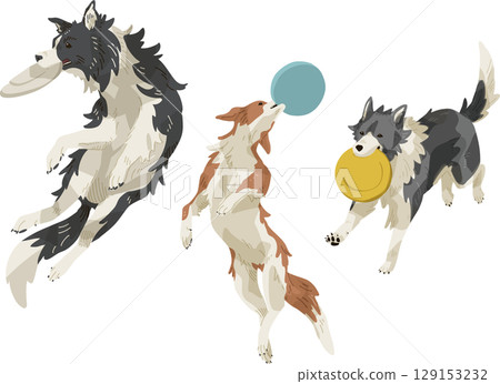 Frisbee dog Frisbee dog 129153232