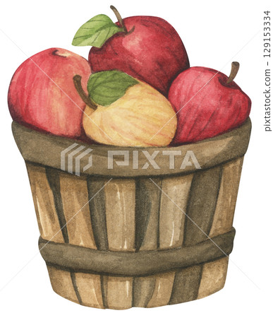 Fresh Apples in Vintage Wooden Bucket. Red Fruits, Wooden Barrel, Autumn Harvest Decor. Organic Farm and Garden. Watercolor Autumn Farmhouse Food Illustration for Thanksgiving. Fresh Apples in Vintage Wooden Bucket. Red Fruits, Wooden Barrel, Autumn Harvest Decor. Organic Farm and Garden. Watercolor Autumn Farmhouse Food Illustration for Thanksgiving. 129153334