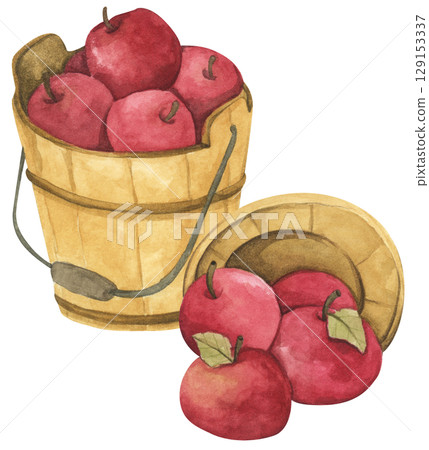 Fresh Apples in Vintage Wooden Bucket. Red Fruits, Wooden Barrel, Autumn Harvest Decor. Organic Farm and Garden. Watercolor Autumn Farmhouse Food Illustration for Thanksgiving. 129153337