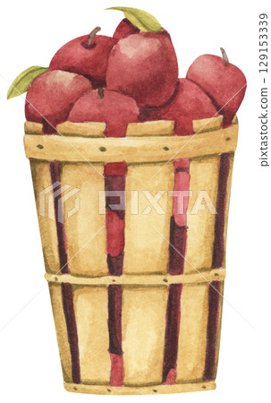 Fresh Apples in Vintage Wooden Bucket. Red Fruits, Wooden Barrel, Autumn Harvest Decor. Organic Farm and Garden. Watercolor Autumn Farmhouse Food Illustration for Thanksgiving. 129153339