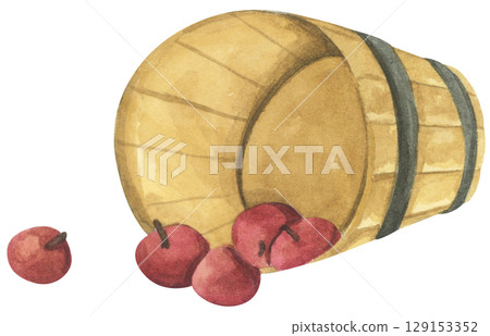 Fresh Apples in Vintage Wooden Bucket. Red Fruits, Wooden Barrel, Autumn Harvest Decor. Organic Farm and Garden. Watercolor Autumn Farmhouse Food Illustration for Thanksgiving. 129153352